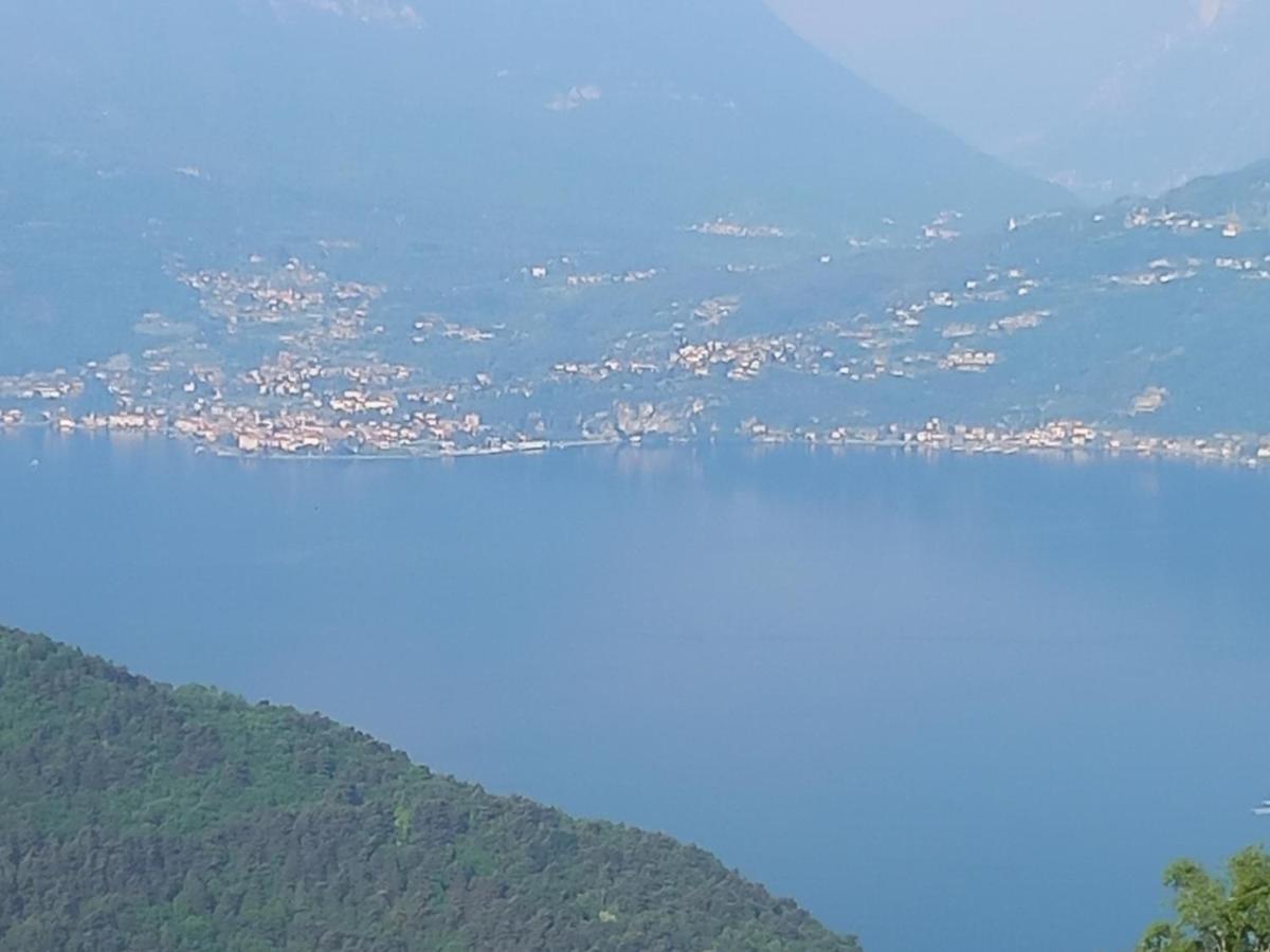 Chalet La Terrazza Vista Lago Bellano Dış mekan fotoğraf